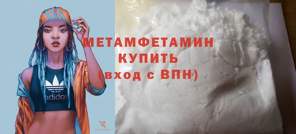 прущие грибы Тавда