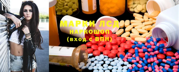 прущие грибы Тавда