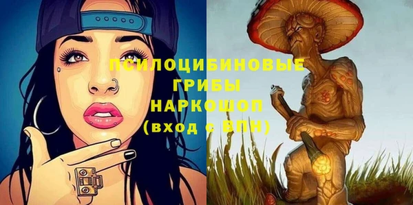 прущие грибы Тавда