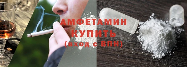 прущие грибы Тавда