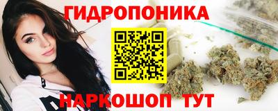 твердый Краснодар