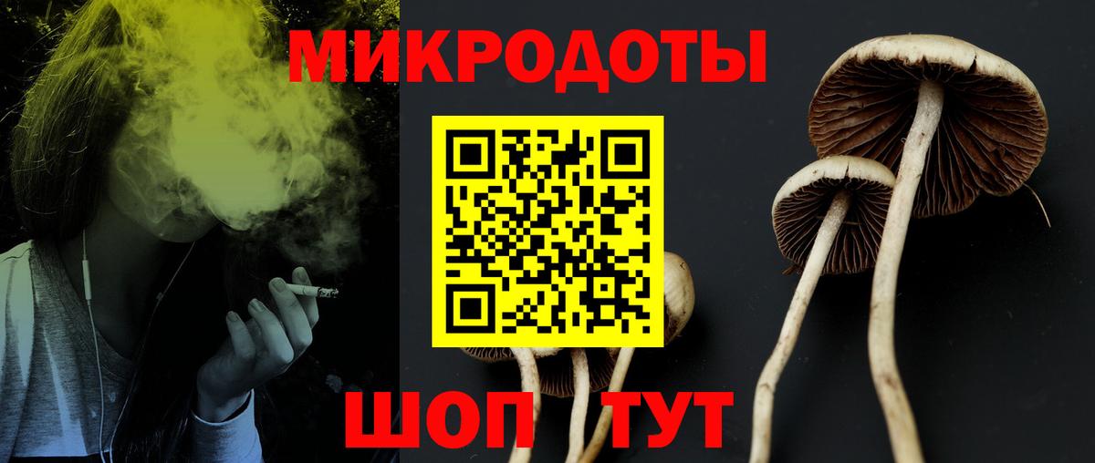 Екатеринбург  Галлюциногенные грибы MAGIC MUSHROOMS  Вход с VPN 